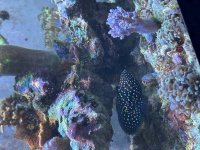 IMG_4873.jpeg