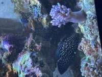 IMG_4879.jpeg