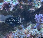 IMG_4873.jpeg