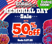 Memorial Day 2025 ends tomorrow.png