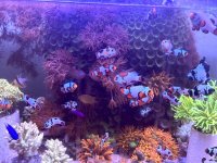 IMG_0551.jpeg
