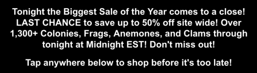 Screenshot 2025-05-27 at 11.34.57 AM.png