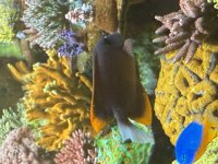 IMG_0100.jpeg