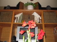 Jan08005.jpg