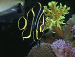 DSCN2353.JPG