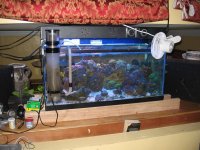 IMG_1613.jpg