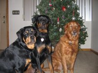 Amber Topaz Onyx Xmas.jpg