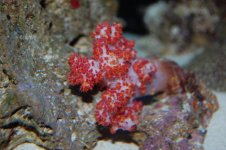DSC_0014.jpg