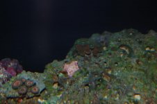 DSC_0046.jpg
