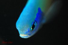 DSC_0023.jpg
