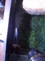 100_1026.jpg