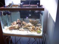 100_1028.jpg