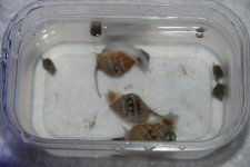 work .contrucion 001.jpg