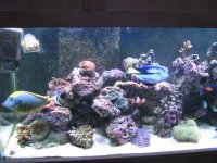 20070908 024.jpg