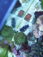 100_1372.jpg