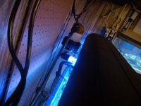P5300003.JPG