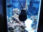 tank5.jpg