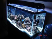 tank7.jpg