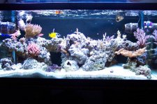 FTS.jpg