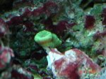 DSC00588.JPG
