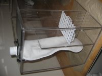 Picture%20024.jpg