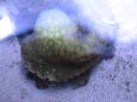 IMG_0385.JPG