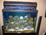 reef tank 002.jpg