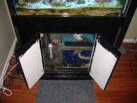 reef tank 003.jpg