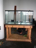 new glasscages tank.jpg