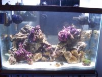 100_1029.jpg