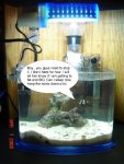 Fish Talk.jpg