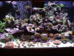 DSCN0375.jpg