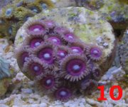 Untitled-10 copy.jpg