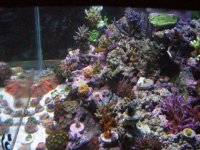 DSCN0377.jpg