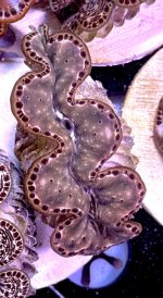 IMG_1103.jpeg