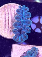 IMG_1126.jpeg