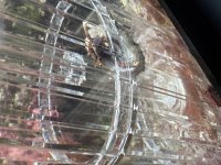 IMG_6900.jpeg