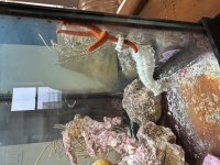 IMG_6403.jpeg