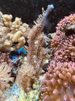 IMG_3662.jpeg