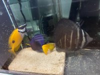 IMG_3468.jpeg