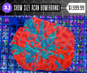 9.png