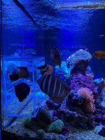 IMG_3464.jpeg