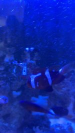 IMG_4911.jpeg