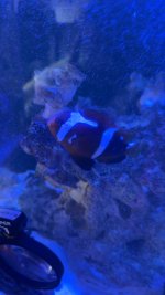 IMG_4910.jpeg