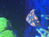 IMG_8893.jpeg