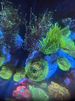 IMG_7381.jpeg