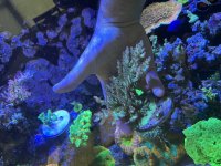 IMG_2251.jpeg