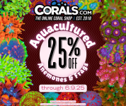AQ Sale 2025 june(1).png