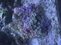IMG_1043.jpeg