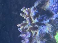 IMG_1031.jpeg